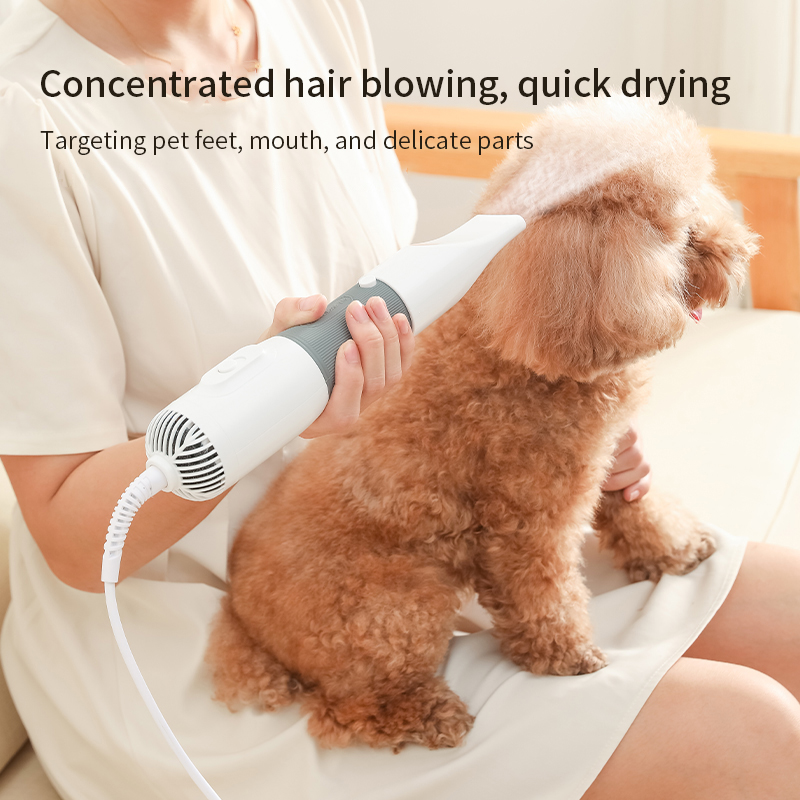 3 in1 Pet Dog Dryer Quiet Dog  - đánh giá và giá Hot Dog Press