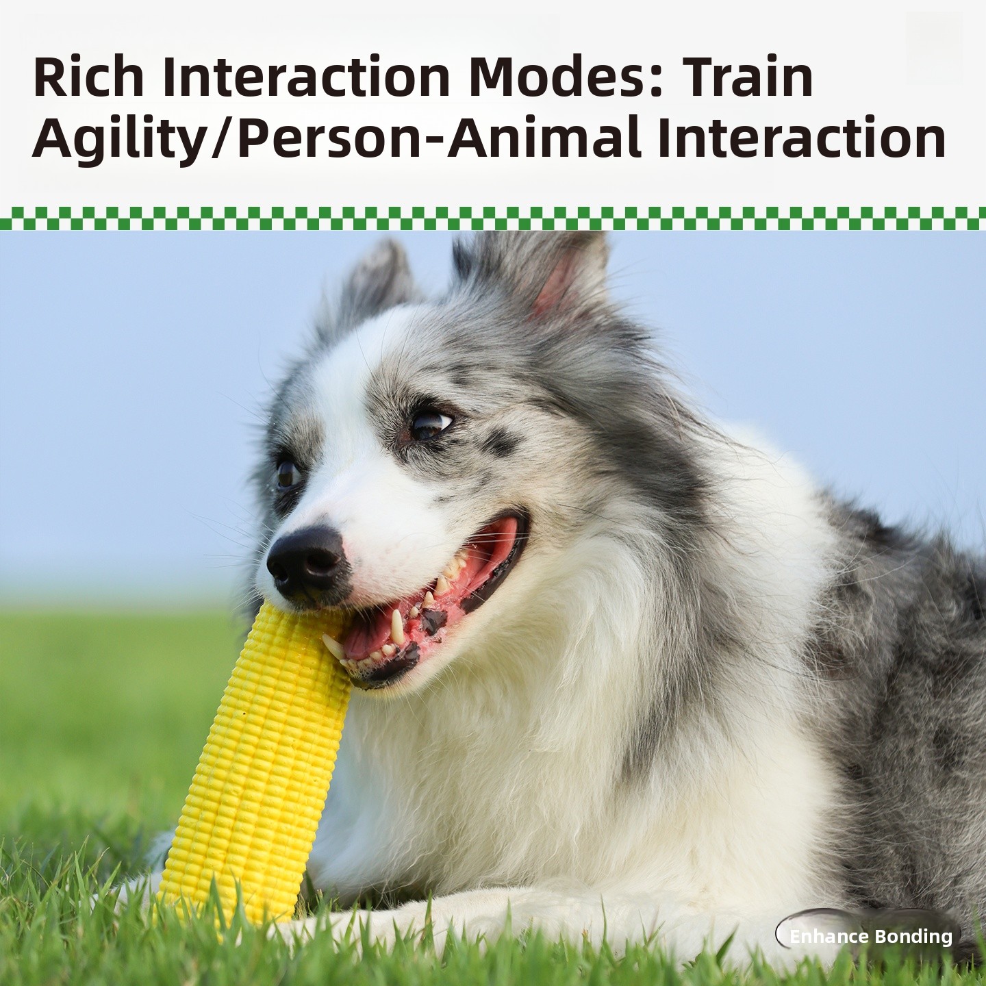 QZee Durable ETPU Corn Dog Toy - đánh giá và giá Corn Dog Stick