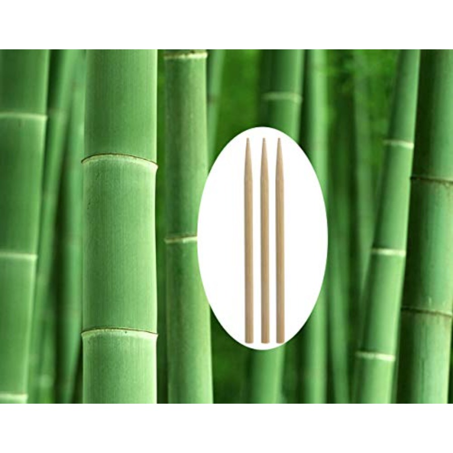 5.5 inch Thick Bamboo Sticks f - đánh giá và giá Corn Dog Stick